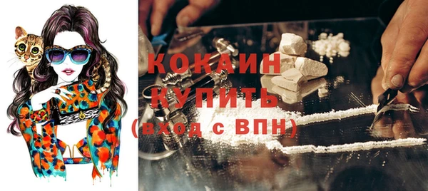 эйфоретик Арсеньев