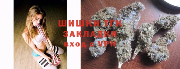 эйфоретик Арсеньев