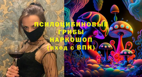 эйфоретик Арсеньев