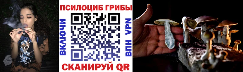 Псилоцибиновые грибы мухоморы  Карабулак 