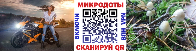 Галлюциногенные грибы Magic Shrooms Карабулак